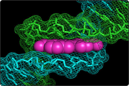 Coloreful rendering of a DNA sequence over a black background.