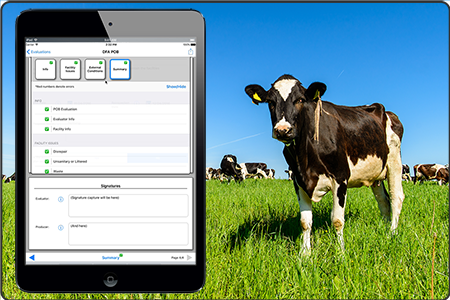 Photo of a dairy cow overlayed with an iPad displaying a custom animal assessment form developed for the Dairy Farmers of America (DFA).