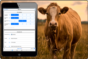 Photo of a cow overlayed with an iPad displaying the National Dairy FARM Program (NDFP) data collection, analysis, and reporting system.